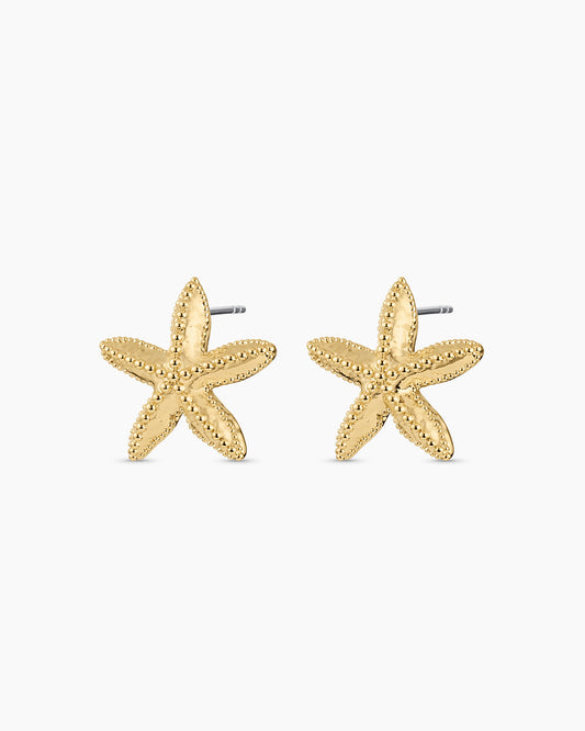 Starfish Statement Earrings