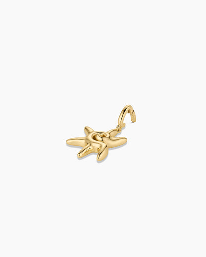Sun Star Parker Charm